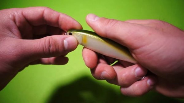 Видеообзор воблера Lucky Craft Pointer 100SP по заказу Fmagazin