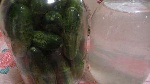 Как  солить огурцы  на зиму с горчицей.