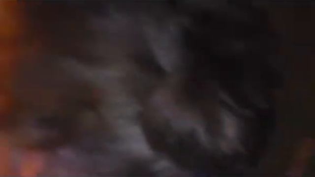 дача ночь 7 смотреть онлайн