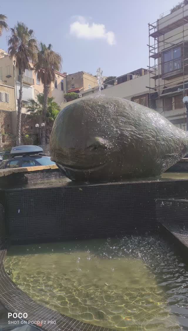 прогулка по Яффо часть 1 смотреть онлайн