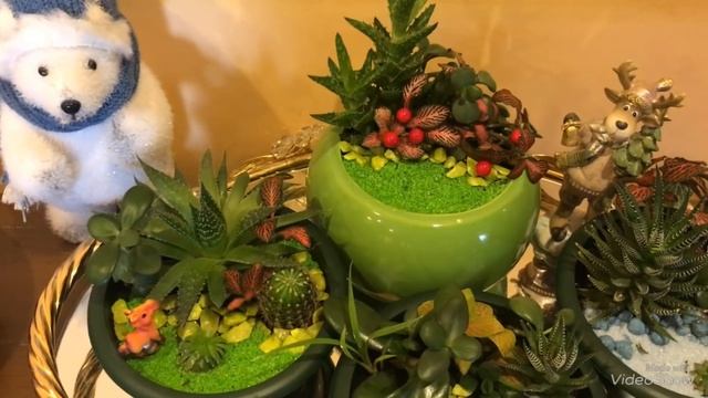 Мини сад. Моё маленькое цветочное хобби.Живой подарок,цветочные композиции. А вы любите цветы? смотреть онлайн