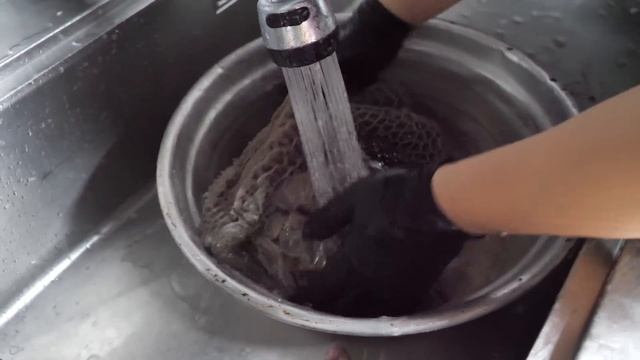 “평일 저녁에도 웨이팅 장난없는 곱창집?” 당일 도축한 소와 마늘로 만든 역대급 소곱창, 막창 Beef Intestines, Korean Street Food