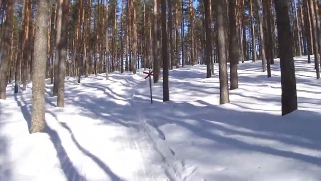 Вот - снегоход!