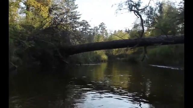 Сплав по реке Барнаулка смотреть онлайн