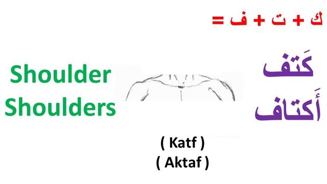 Body Parts in Arabic - Learn Arabic смотреть онлайн