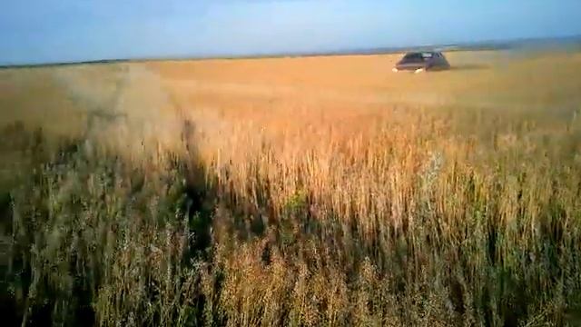 LADA GRANTA В полях. смотреть онлайн