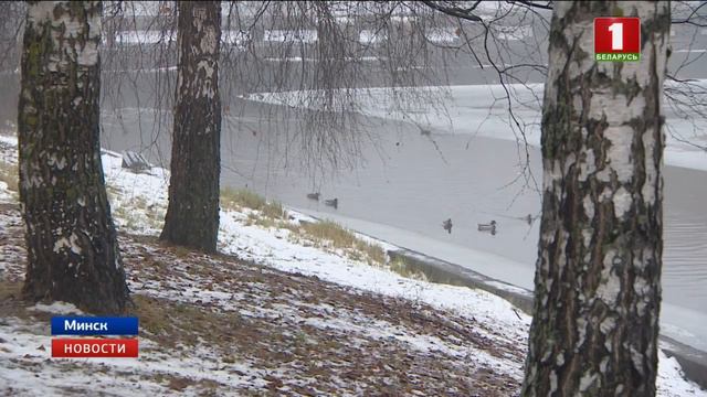 В Беларусь идет потепление