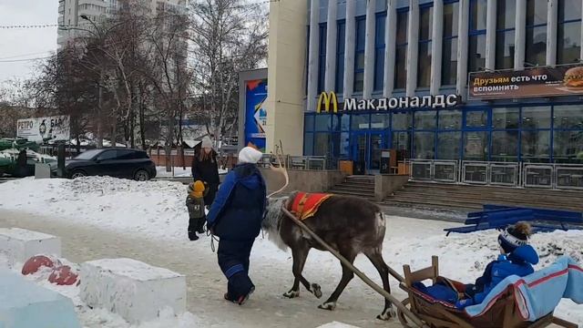 #Январь#2020#катаниенаолене#Russia#Winter#deer# смотреть онлайн