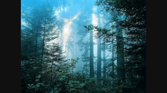 Mike Patton - The Snow Angel (The Place Beyond The pines) [10 min version] смотреть онлайн