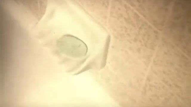 So Fresh So Clean смотреть онлайн