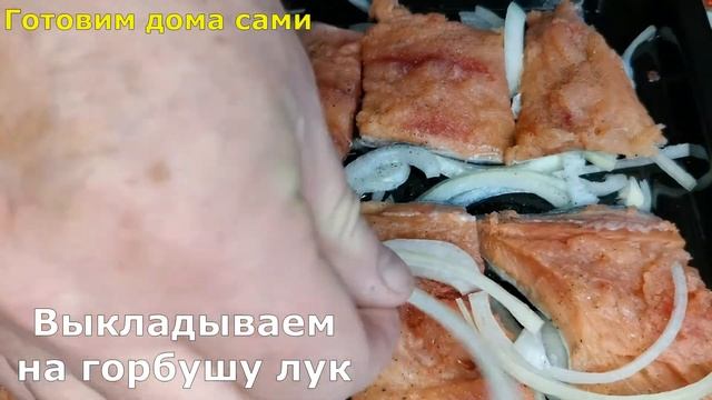 Салаты с Ракушками