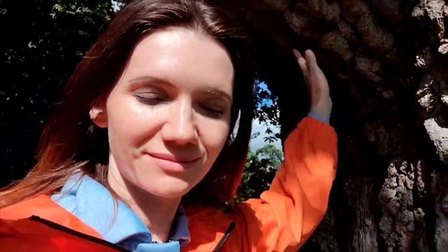 Говорит королевский дуб замка Чарлевилль в Ирландии смотреть онлайн