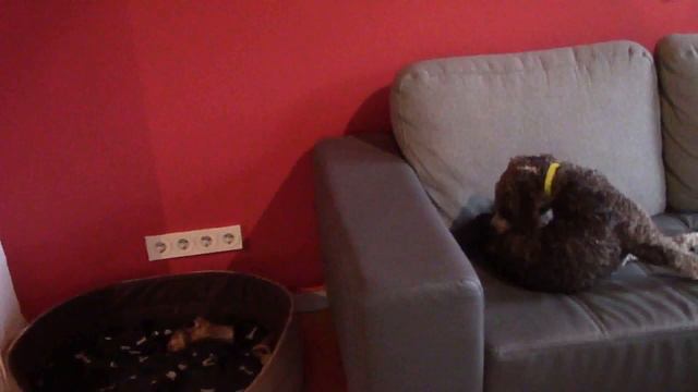 Roomtour - #1Wohn/-Esszimmer смотреть онлайн