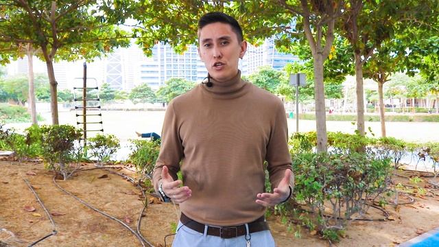 Фотография Винтажных Объектов