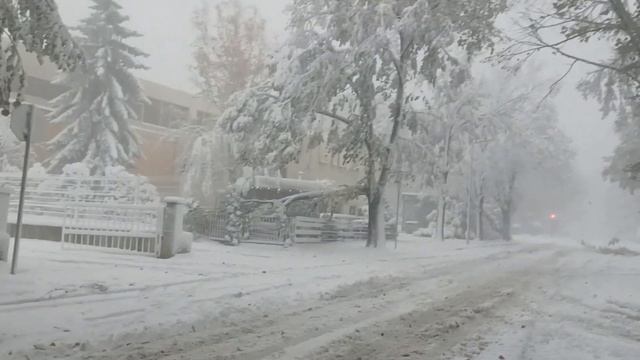 Добрич, виелица - 1, 26.11.2023