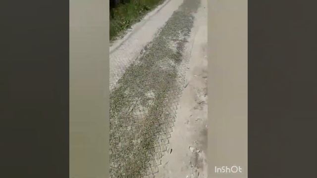 Забор из сетки рабица смотреть онлайн