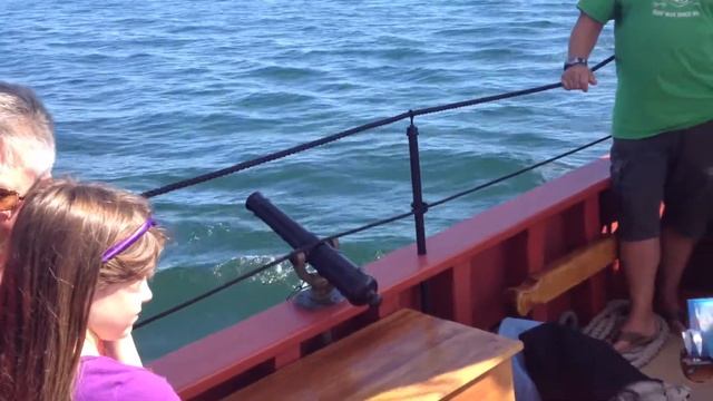 Swivel cannon blast on the Fame смотреть онлайн