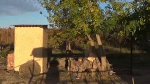 Рыбалка на базе в Астраханской области