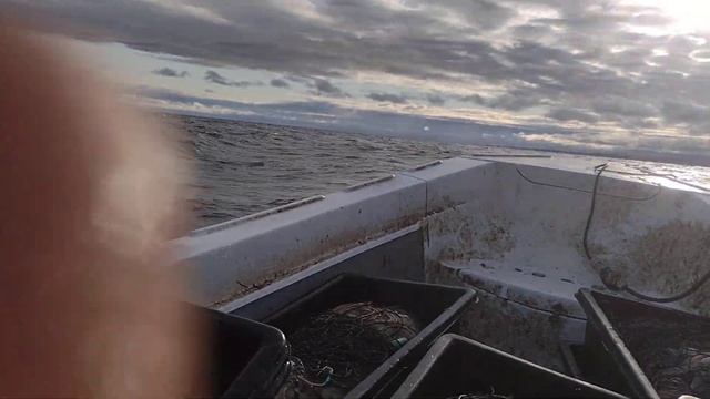 фортис катана 575 смотреть онлайн