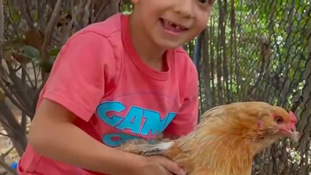 Первая неделя летнего лагеря ( фермерская неделя) Sunshne Studio смотреть онлайн