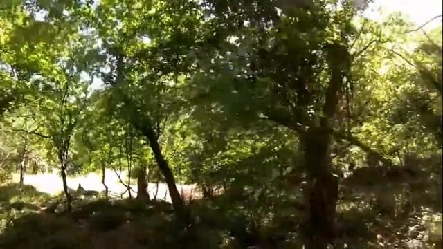 Царская тропа (Солнечная тропа) смотреть онлайн