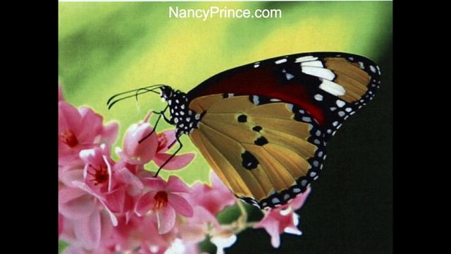 Quilts with Attitude смотреть онлайн