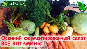 ОСЕННИЙ САЛАТ «ВСЕ ВИТАМИНЫ»: отличный вкус, большая польза, мягкое очищение и заготовка овощей!