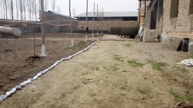 Уйим Олтинкул смотреть онлайн