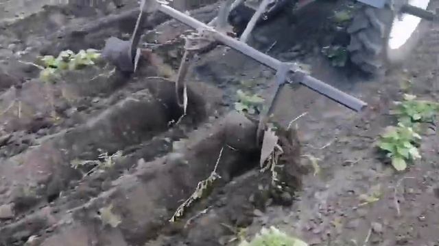 Універсальна рама Підгортаємо картоплю смотреть онлайн