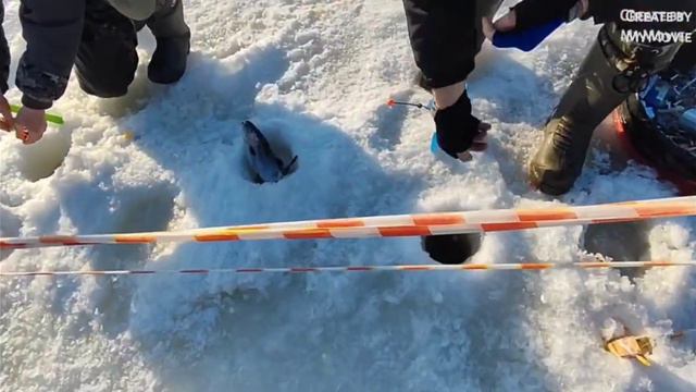 Рыбалка в Красногорске, Спортзона смотреть онлайн
