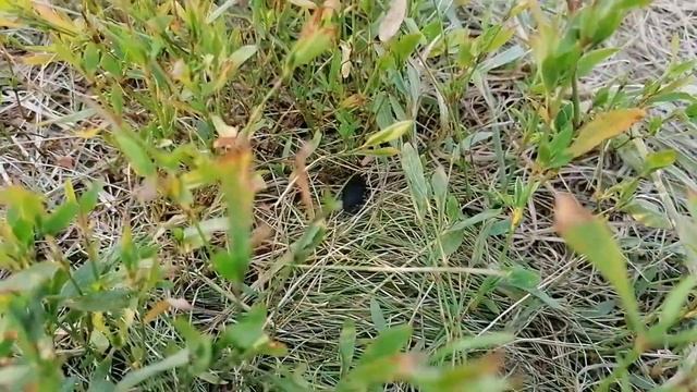 Ловля леща на реке в начале июля 2021.Рыбалка на донки.Связал оснастку для донки.