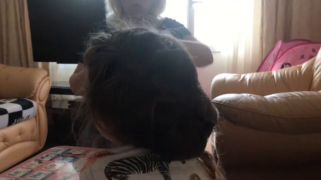 Раннее развитие. Упражнение 3 смотреть онлайн