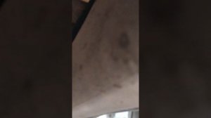 замена задней стойки амортизатора Фольксваген Джетта 5 VW Jetta