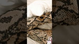 Snake Bodysuit || Super Cute Beauty Female Mask Silicone , Rubber Mask and Mask Doll