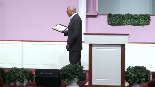 Path of the River - VLF Livestream - 4/28/19 смотреть онлайн