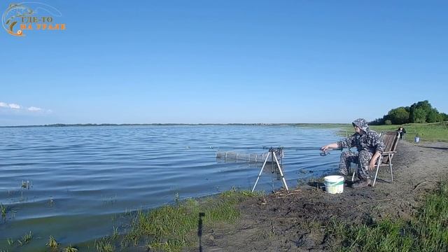 Ловля Карася в Июне на фидер. смотреть онлайн