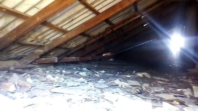 Куницы живут на чердаке смотреть онлайн