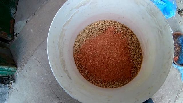 КАК ХРОНИТЬ ОПАРЫШ смотреть онлайн