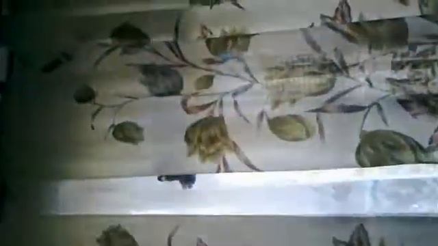 Залетела в окно :D смотреть онлайн