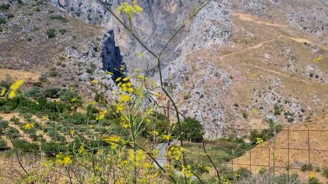 ПутЕвые заметки 6 НАТУРАЛЬНЫЙ Крит 2022 Crete News смотреть онлайн