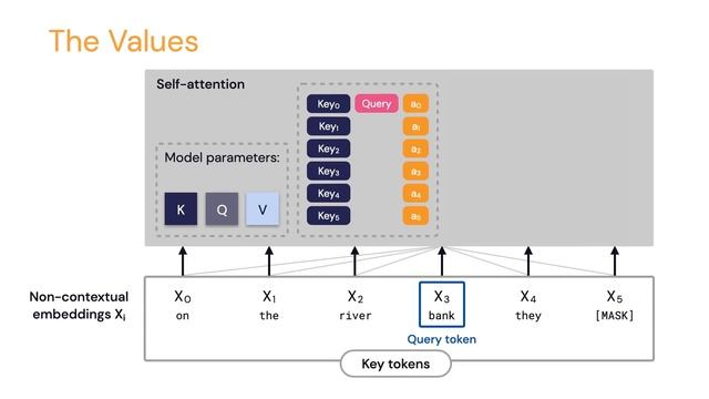 Transfer learning and Transformer models (ML Tech Talks) смотреть онлайн