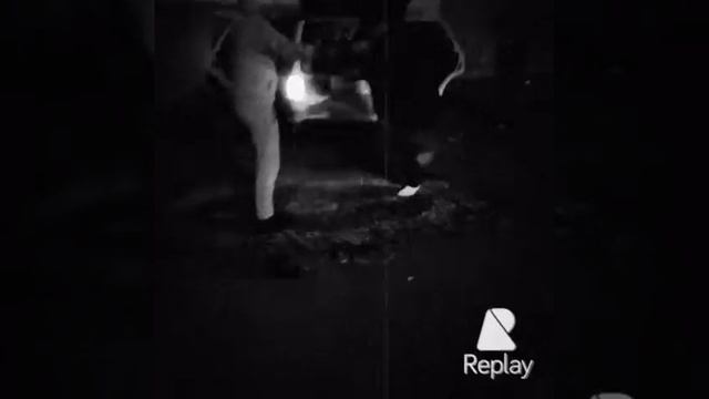 Баклажан Саратов. Смотреть всем смотреть онлайн