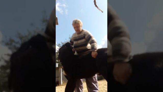 Какую ринговку выбрать. Советы начинающим. Урок 1. смотреть онлайн