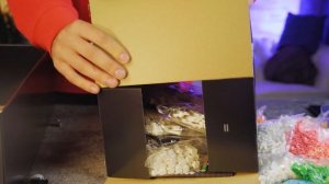 ЭТО - САМОЕ БОЛЬШОЕ ЛЕГО В МИРЕ