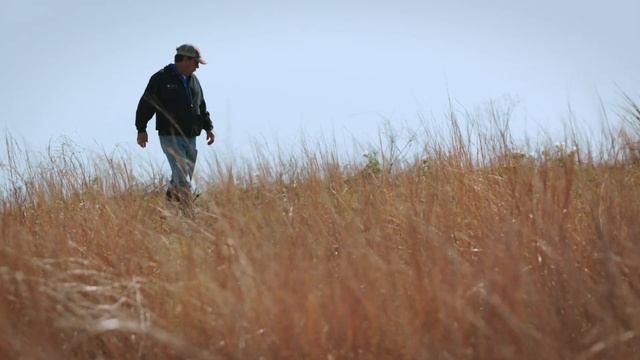 Song of the Prairie: Restoring a Home on the Range for the Attwater’s Prairie Chicken смотреть онлайн