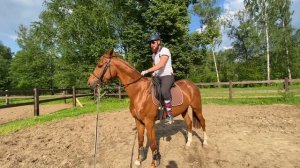 Заездка не молодой лошади. Часть 3. Пробуем сесть .