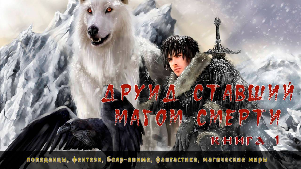 Аудиокнига, Попаданцы, 