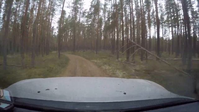 ?За вальдшнепом, к фото-ловушке и на озеро посмотреть утку.? смотреть онлайн