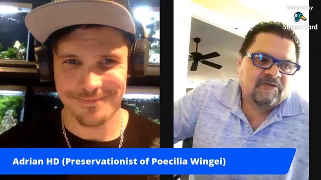 Late Night Talk #3 With 