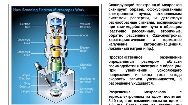 Электронная микроскопия (просвечивающая и сканирующая) смотреть онлайн